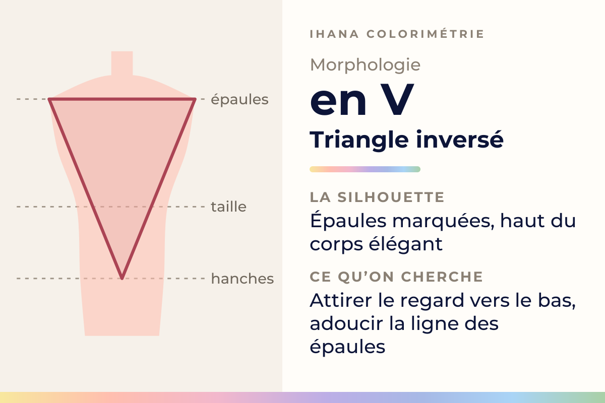 Schéma de la morphologie en V, le triangle inversé : épaules marquées, haut du corps élégant