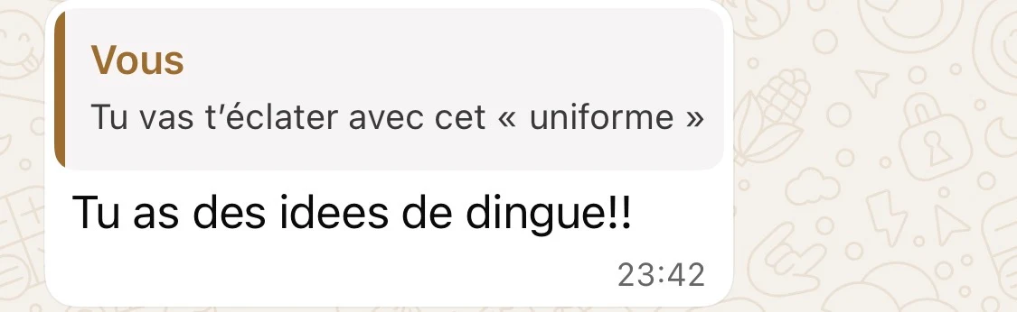 Conversation de coaching privé : une cliente répond « Tu as des idées de dingue !! » au message « Tu vas t’éclater avec cet uniforme »
